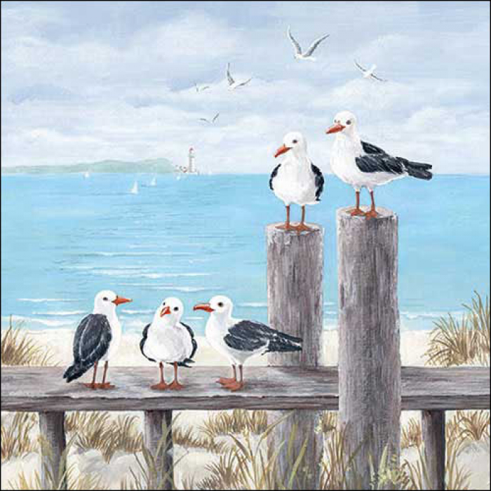 Seagulls on the dock